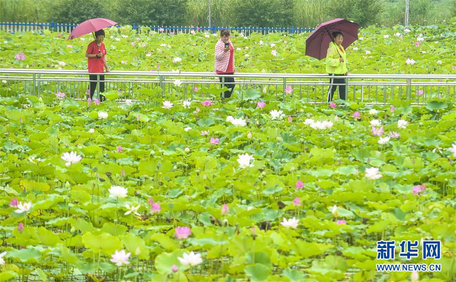 里瀾城鎮最新新聞動態更新