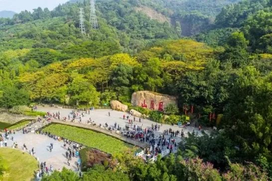 鳳凰山森林公園最新,鳳凰山森林公園的最新魅力與變遷