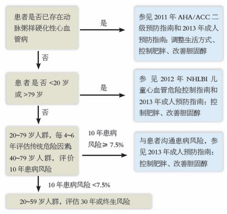 心血管指南最新版，引領心血管健康的新征程